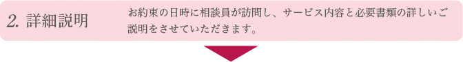 詳細説明